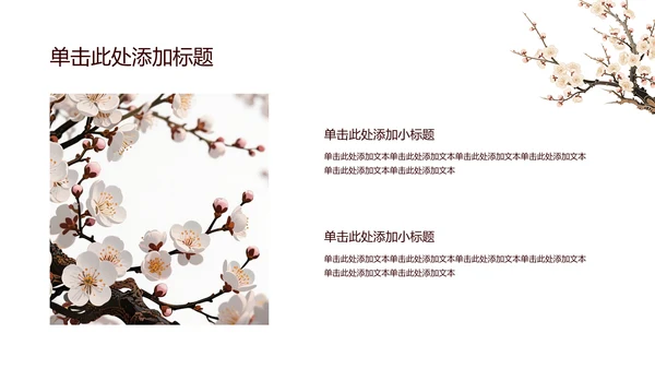 白色简约风梅花介绍PPT模板