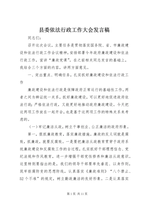 县委依法行政工作大会发言稿.docx