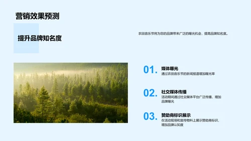 农田音乐节营销策划