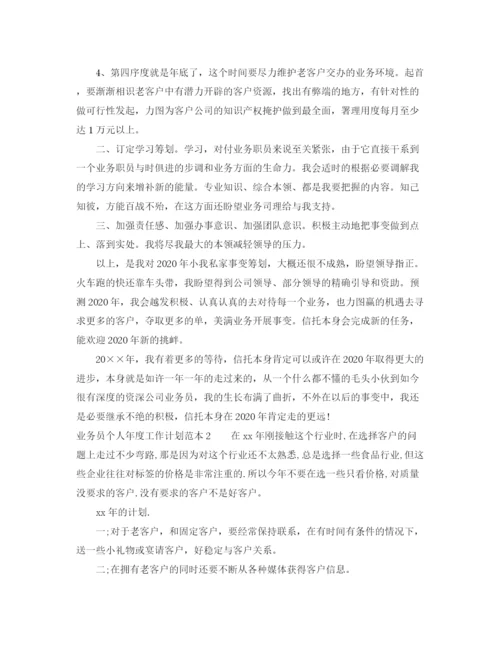 精编之业务员个人年度工作计划范本4篇.docx