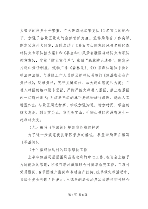 旅游事业局上半年工作总结及下半年工作计划.docx