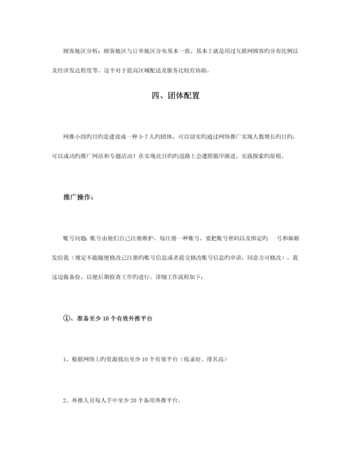 网络推广完整详细的方案.docx