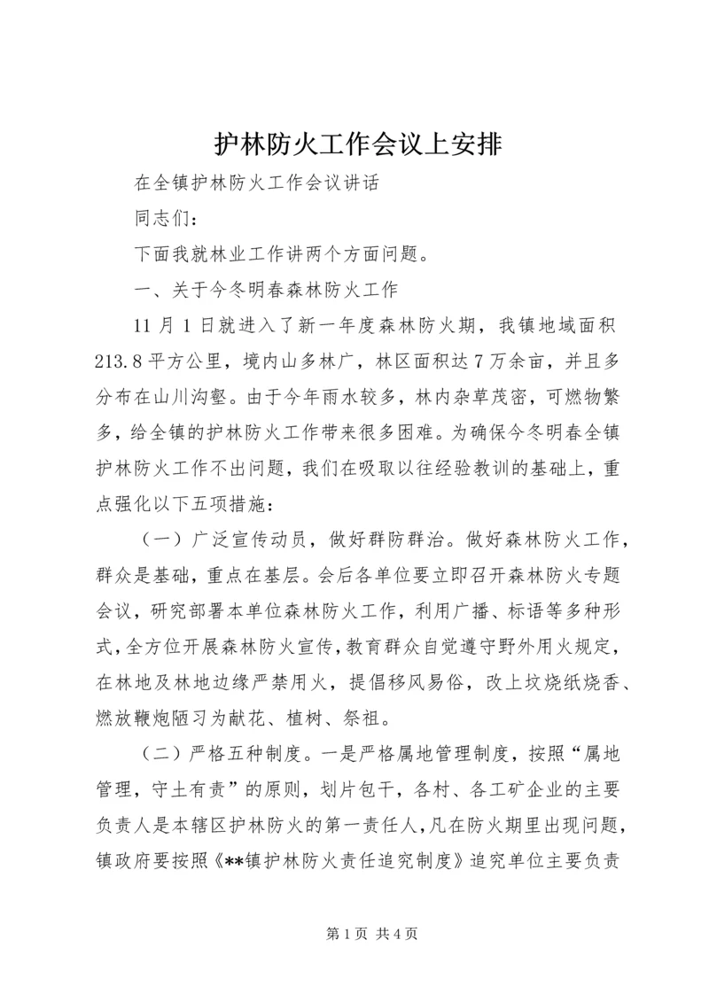 护林防火工作会议上安排 (3).docx