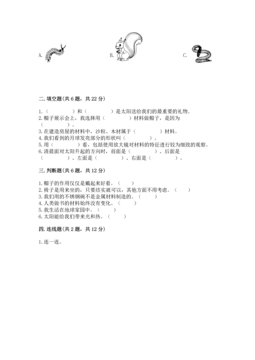 教科版科学二年级上册《期末测试卷》精品（考点梳理）.docx