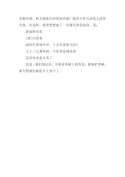 关于杏树的作文300字.docx