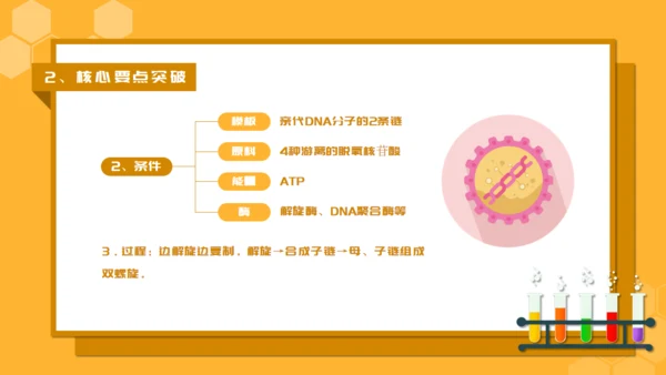 人教版生物课《DNA的复制》通用PPT课件