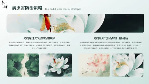 墨绿色中国风夏至节气PPT模板
