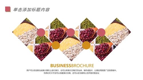 五谷杂粮土特产农产品生态食品PPT模板