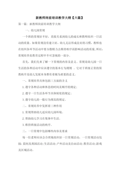 新教师岗前培训教学大纲【六篇】.docx