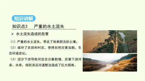 6.3 世界最大的黄土堆积区——黄土高原 第2课时 严重的水土流失 水土保持（课件29张）- 人教版