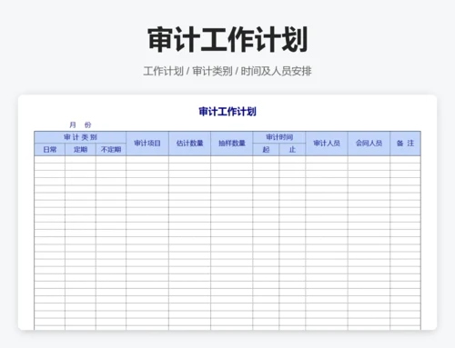 审计报告表