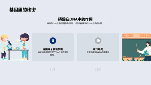 DNA双螺旋结构解析PPT模板