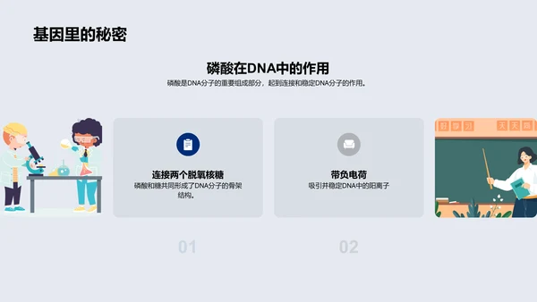 DNA双螺旋结构解析PPT模板