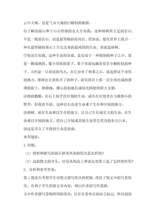 初中英语语法总复习-初中现代文阅读专题复习设计第二课时：思路分析(3)