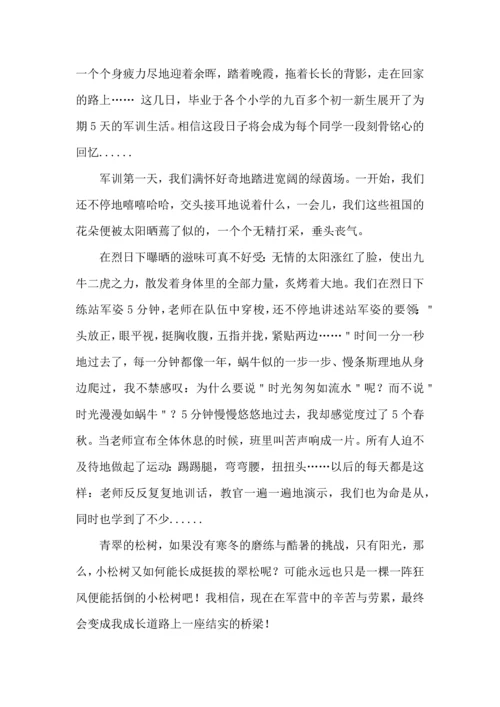 初中军训心得体会模板汇总9篇（一）.docx