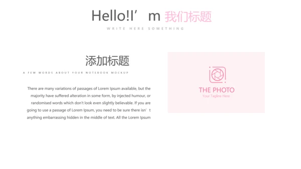 粉色公司产品介绍宣传通用PPT动态模板