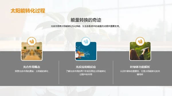 绿色能源之源