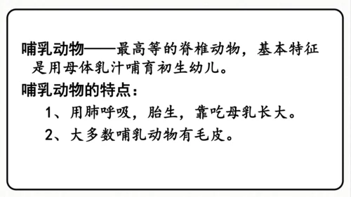 统编版语文五年级上册第五单元 习作例文《鲸》《风向袋的制作》 课件