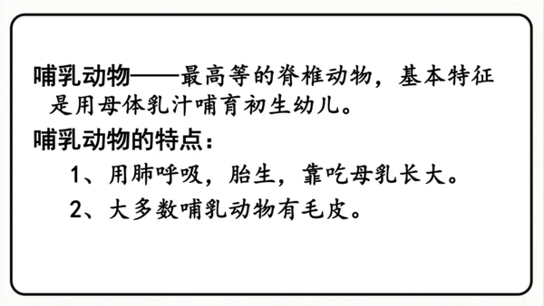统编版语文五年级上册第五单元 习作例文《鲸》《风向袋的制作》 课件