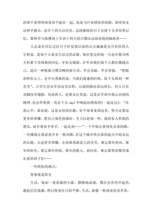 荐大学军训心得体会10篇.docx