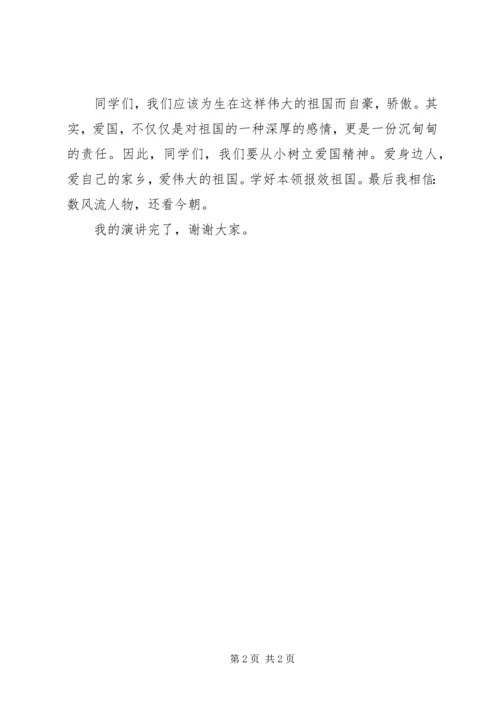 国旗在我心中演讲稿 (5).docx