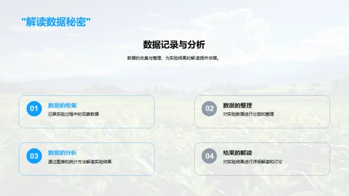 农作物种植实践教程