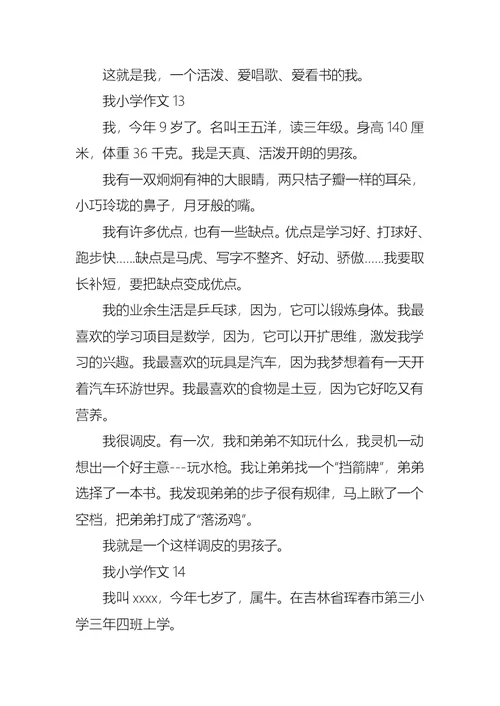 我小学作文集锦15篇