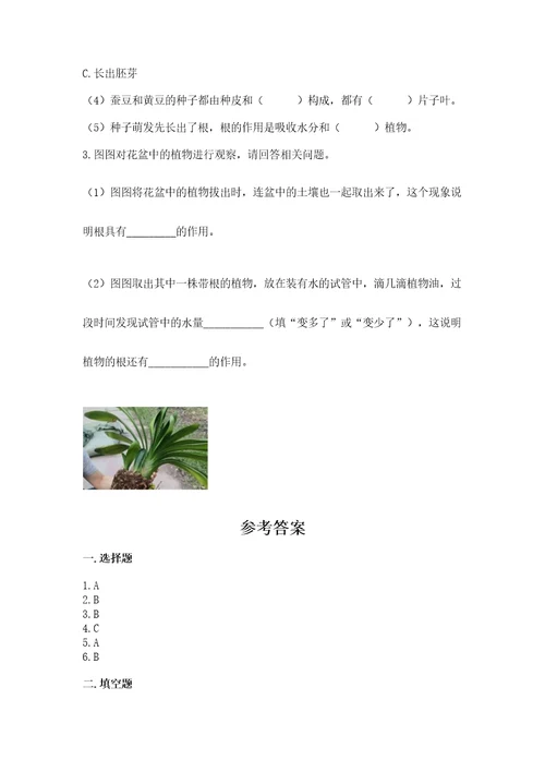 教科版科学四年级下册第一单元《植物的生长变化》测试卷名师推荐