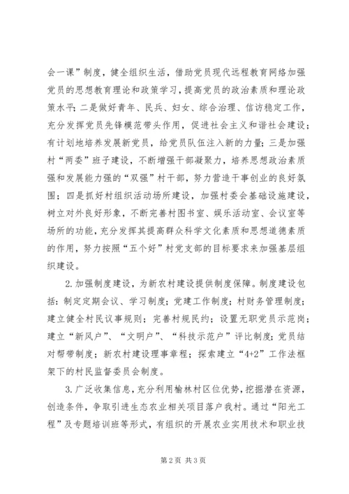村党支部、村委会工作计划 (3).docx