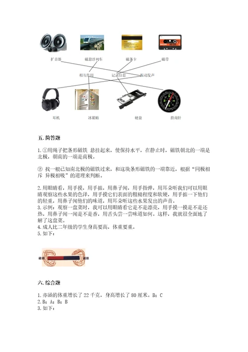 教科版二年级下册科学期末测试卷精品满分必刷