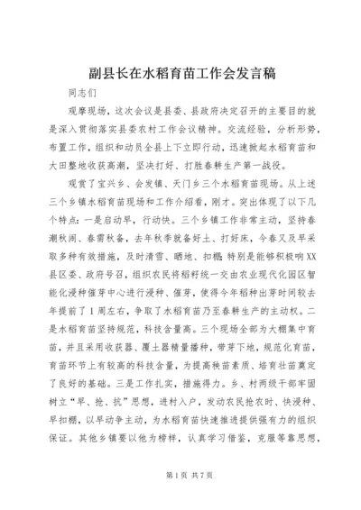 副县长在水稻育苗工作会发言稿.docx