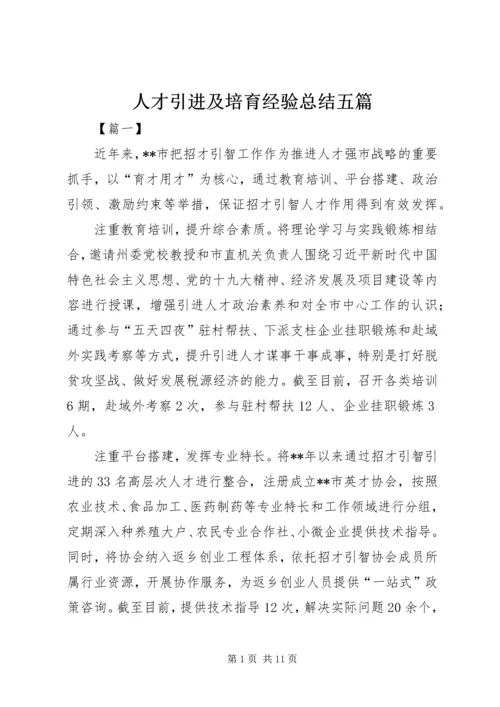 人才引进及培育经验总结五篇.docx