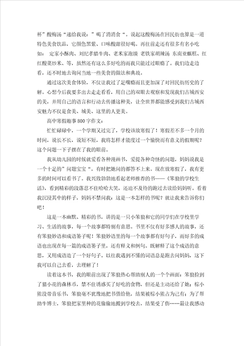 高中寒假趣事800字作文