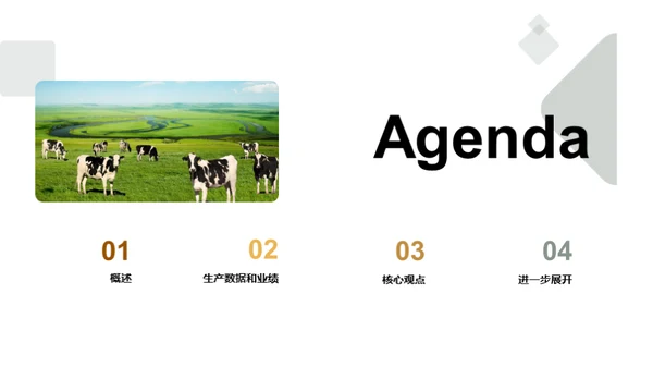 淀粉制品生产优势