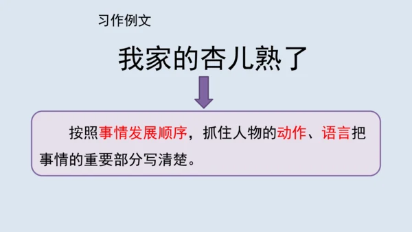 部编版四年级语文上册 习作例文2《小木船》 课件
