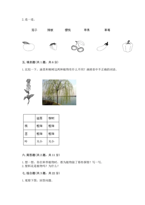 教科版科学一年级上册第一单元《植物》测试卷附答案【突破训练】.docx