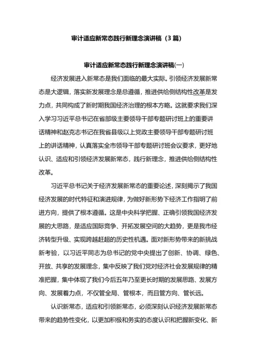 审计适应新常态践行新理念演讲稿.docx