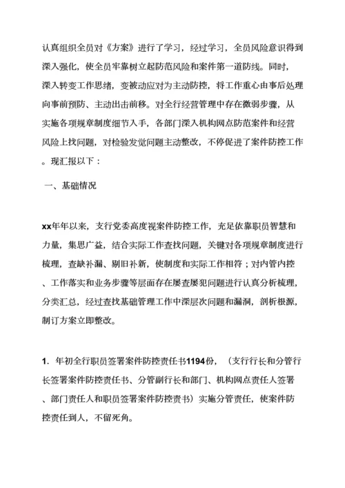 活动专项方案之案件防控整改专项方案.docx