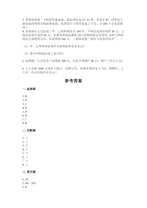 北京版六年级下册数学期中测试卷精品【典优】.docx