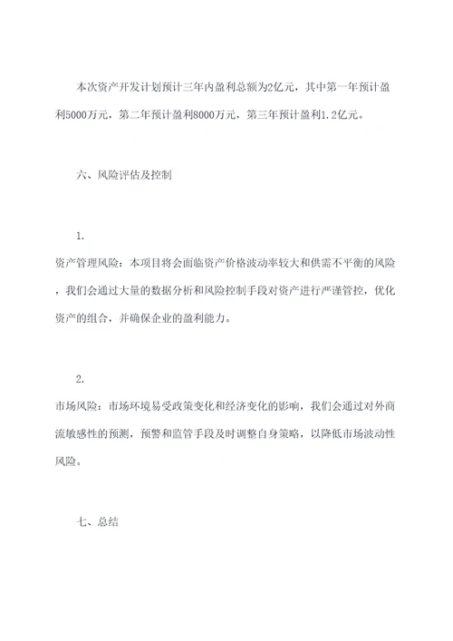 资产开发计划书