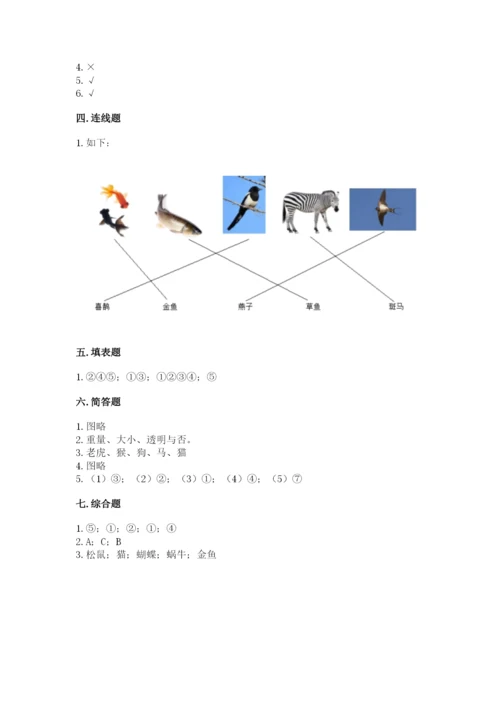 教科版小学科学一年级下册期末测试卷附答案（研优卷）.docx