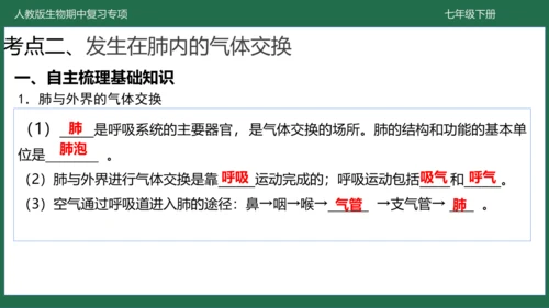 第三章 人体的呼吸（-七年级生物下学期期中考点大串讲（人教版）(共25张PPT)