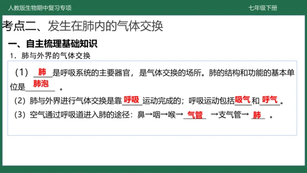 第三章 人体的呼吸（-七年级生物下学期期中考点大串讲（人教版）(共25张PPT)
