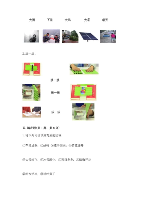 教科版二年级上册科学期末测试卷及答案（新）.docx