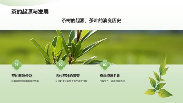 绿色小清新茶文化茶艺介绍通用模板PPT模板