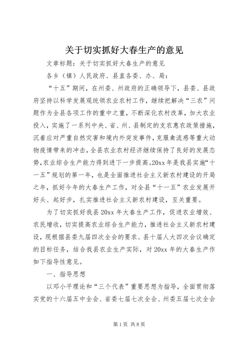 关于切实抓好大春生产的意见.docx