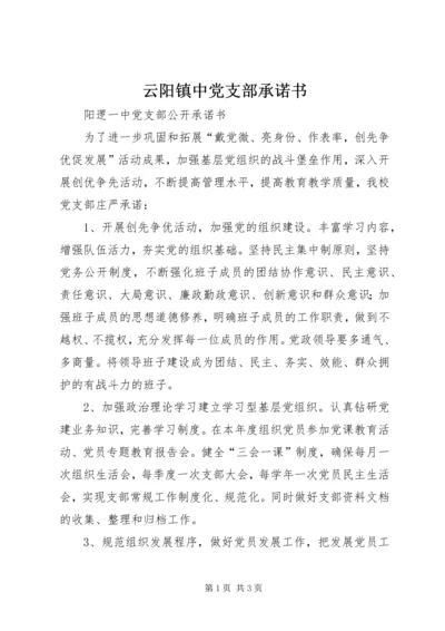 云阳镇中党支部承诺书.docx