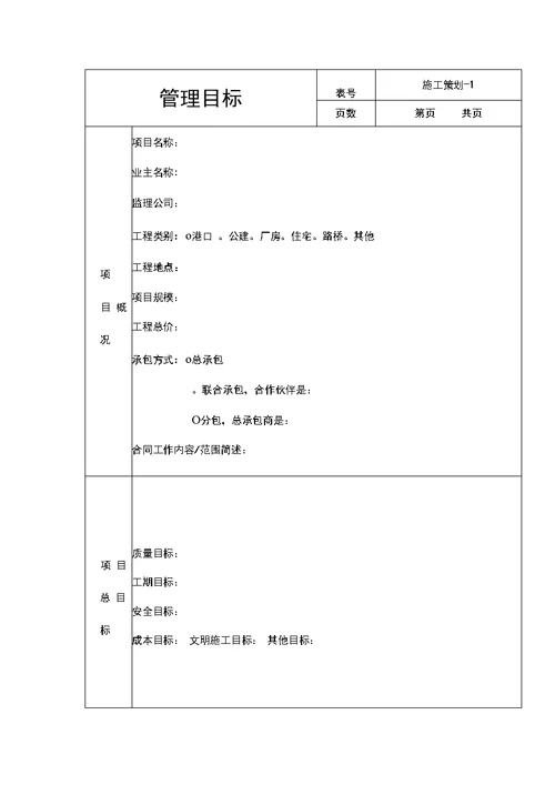 项目施工项目策划书