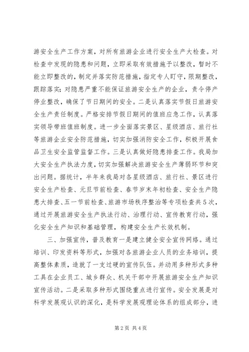 乡镇旅游局安全生产上半年工作总结.docx