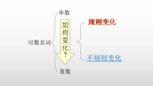 【名词单复数】课件PPT